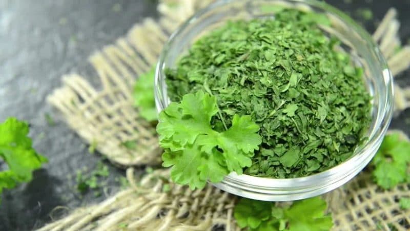 قیمت خرید سبزی گشنیز خشک + فروش ویژه